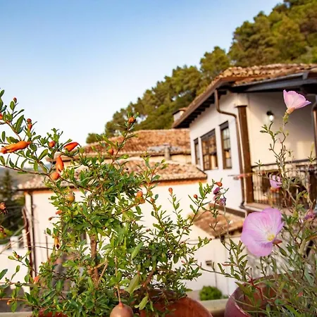 Maison d'hôtes Belle View Old Town