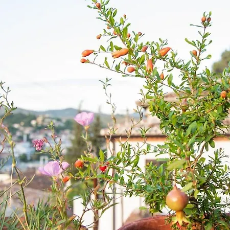 Maison d'hôtes Belle View Old Town Berat