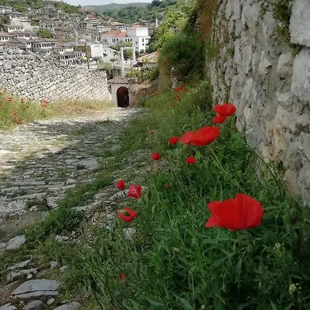 Konukevi Belle View Old Town Berat
