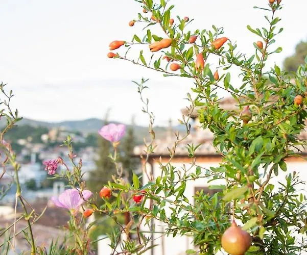 Pensjonat Belle View Old Town Berat