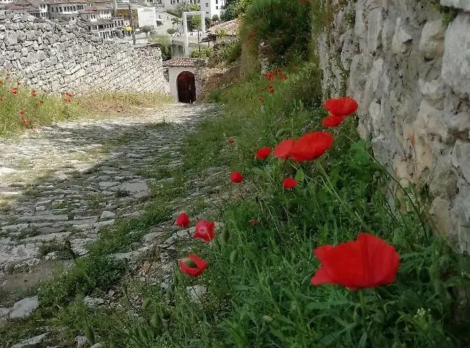 Pensjonat Belle View Old Town Berat